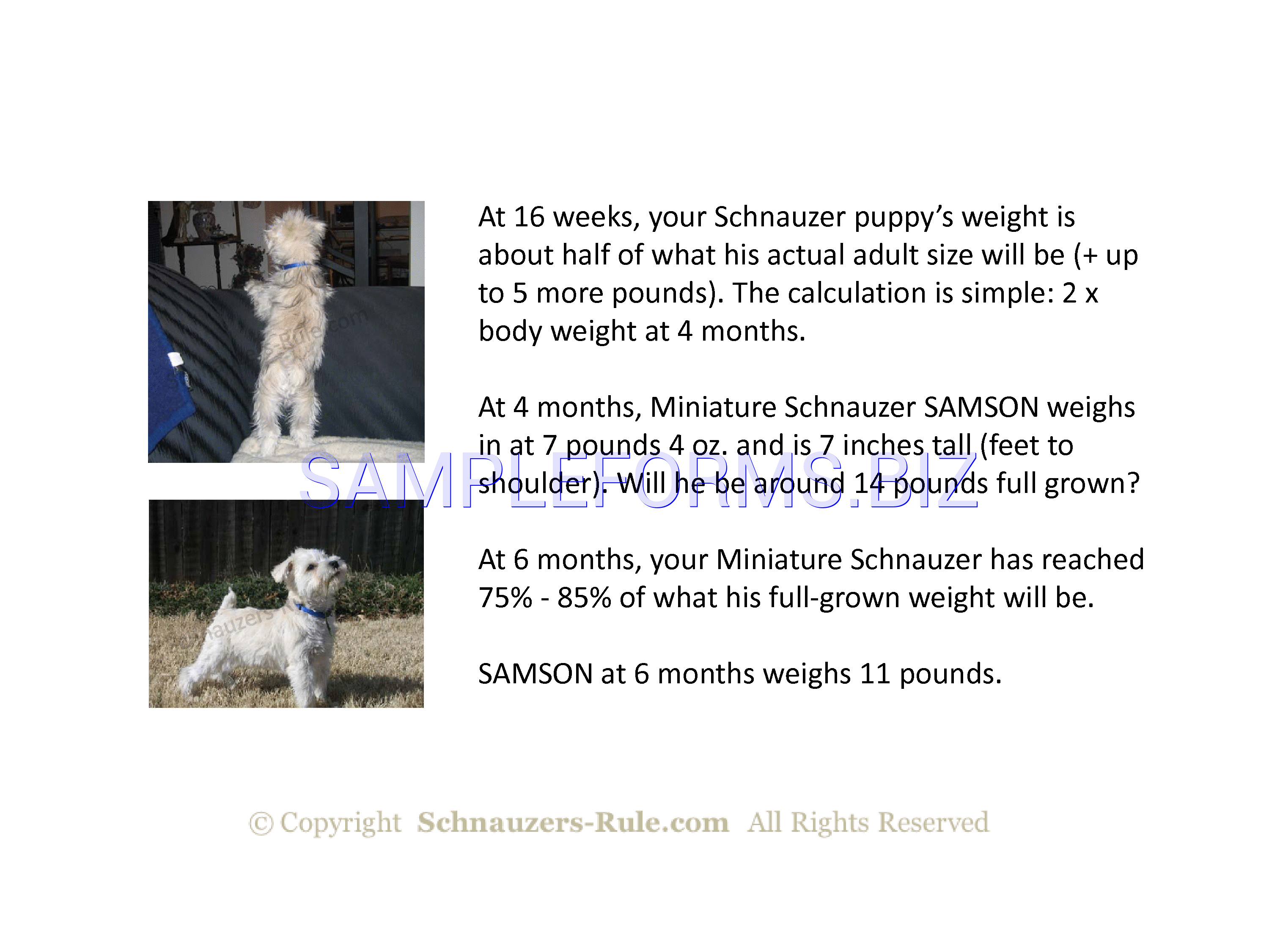 Preview free downloadable Miniature Schnauzer Puppy Growth Rate Chart in PDF (page 3)